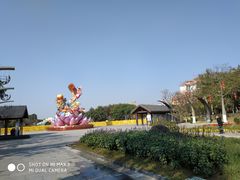 -映月湖公园