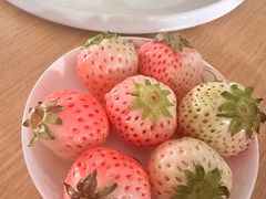 -鼎丰真(四马路店)