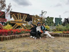 -上海长兴岛郊野公园