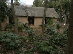 -蜀冈西峰生态公园