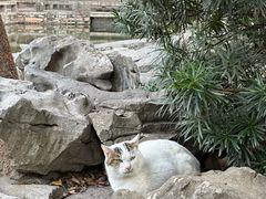 -西园戒幢律寺