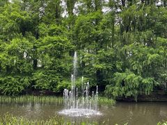 -上海共青森林公园