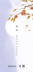 -YESIDO椰岛美容