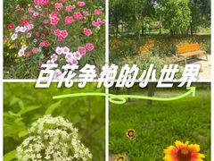 -老君堂公园