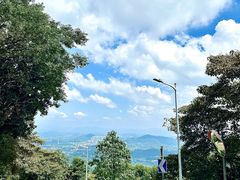 -黄埔油麻山森林公园