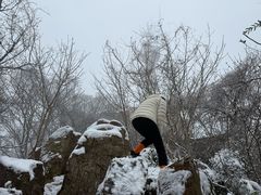 -紫金山山顶公园