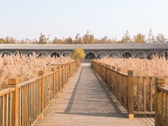 -水西公园