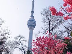 -龟山风景区-龟山电视塔
