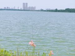 -金银湖国家城市湿地公园