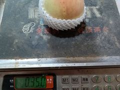 -南汇新场正宗水蜜桃采摘