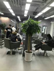 -INS羽毛接发·巴黎画染