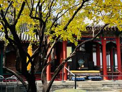 -宫事颐庭·老佛爷贵寿下午茶(颐和园店)