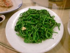 -绿华园休闲山庄