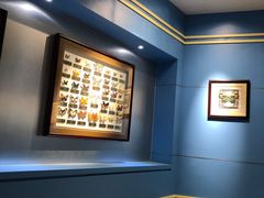 -上海昆虫博物馆