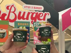 -VT101维多利广场
