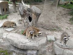 -宁波野生动物园