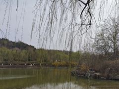 -南翠屏公园