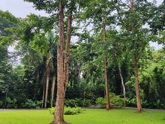 -中国科学院西双版纳热带植物园
