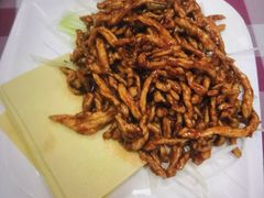 -天津外国语大学（马场道校区）食堂