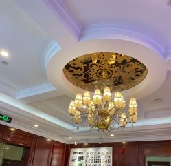 -南京医科大学友谊整形外科医院