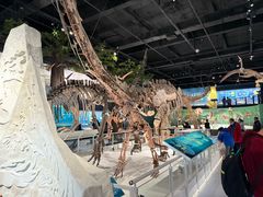 -国家自然博物馆