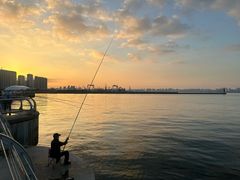 -东港音乐喷泉广场