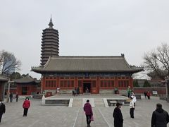 -西海子公园