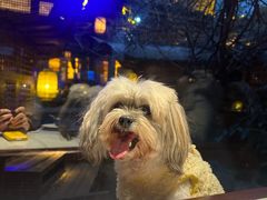 -绿茶餐厅(龙井船宴· 品牌总店)