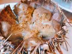 -海胆小馆(东北水饺·春柳店)