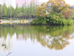 -荆川公园