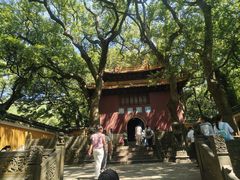 -普陀山风景名胜区-法雨禅寺
