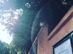-马洛雷勒花园