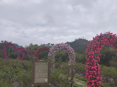 -黄陂区野村谷景区