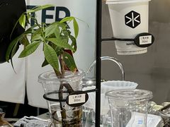 -WATER CAFE(广厦店)