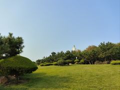 -日照海滨国家森林公园