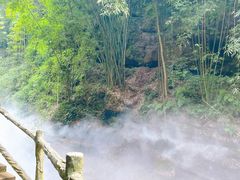 -川西竹海景区