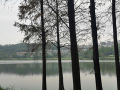 -白云湖畔酒店-湖畔餐厅