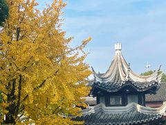 -八大山人梅湖景区