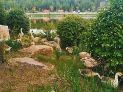 -长春市南湖公园