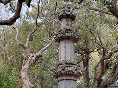 -普陀山风景名胜区-法雨禅寺