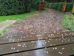 -天目湖涵田半山温泉