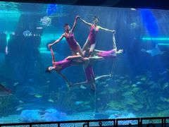 -泉城欧乐堡海洋极地世界