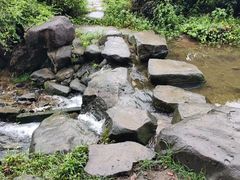 -中国茶叶博物馆(双峰馆区)
