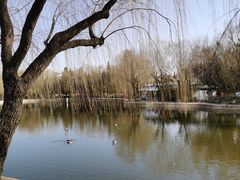 -团结湖公园