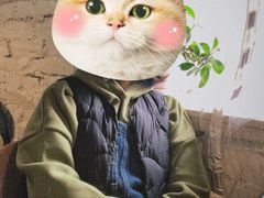 -不舍昼夜咖啡馆