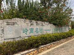 -金林水乡