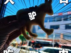 -莲池书院博物馆