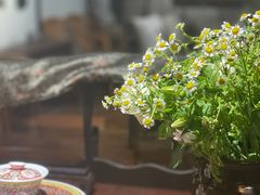 -一慈茶馆(雨田馆)