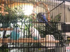 -丽江庭院之丽江往事(安定门店)