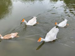 -金陵矩阵(聚宝山公园店)
